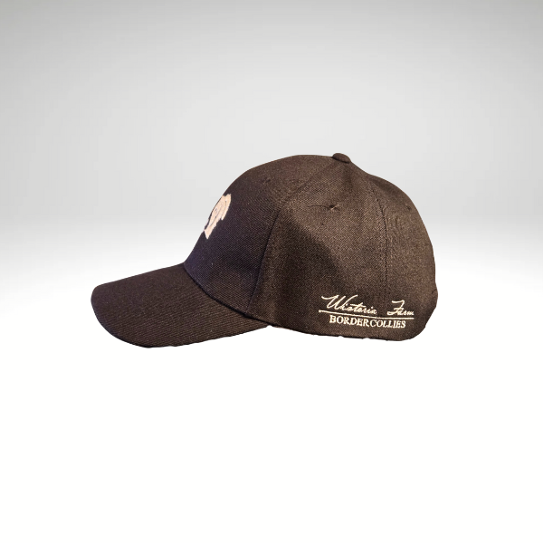 Border Collie Hat Black